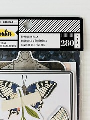 Vicki Boutin Nature Mixed Media Ephemera Pack 280pc Stickers/Cardstock/Acetate