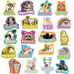 800 Pcs Teacher Reward Stickers for Students Funny Reward Stickers for Kids M…