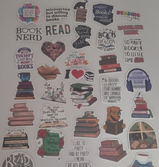 Books & Reading Quote Sticker Lot – «READ MORE BOOKS» Multicolor Designs