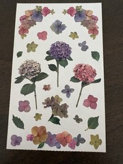 Vintage Mrs. Grossman’s Flowers and Bows 6 sheets 4×6
