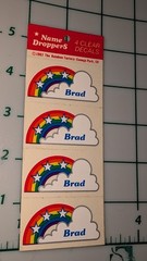 Vintage Stickers Name Droppers Rainbow Clear Decals BRAD 4 Stickers