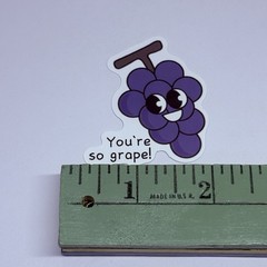 Cute Fruit Grapes Vinyl Art Sticker School Motivation Kids Matte Decals Tc9