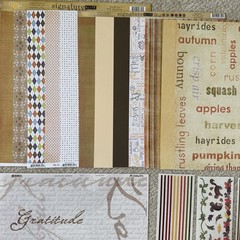 FALL Themed Embellishments Lot