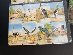 LOT OF 7 Full Sheets VTG Animals Birds Dogs EAS Die Cut Paper Scrap Germany
