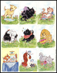 Stickers – Cat Dog – Any Occasion CL091