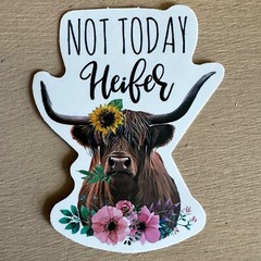 HIGHLAND COWS, 50 stickers, animals, cute, mini cow, decal
