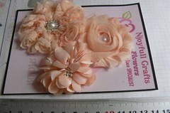 APRICOT Flower Mix Fabric Organza Satin Lace 3 Flower Pk 55-75mm NJC O3