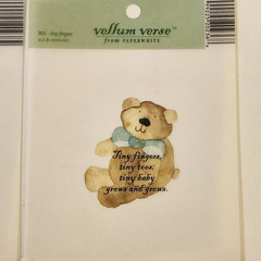 NEW Lot 14 BABY Transparencies Vellum Words Phrase Verse O’Scrap Whimsies -Z