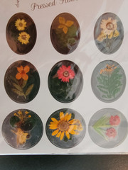 Vintage Victoria’s Spring Pressed Flower Stickers Sealed Pack 9 Real Flowers