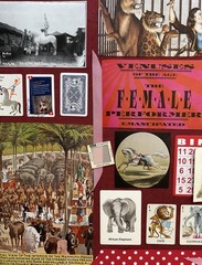 Circus Carnival Ephemera Lot Junk Journal scrapbooking 64 + pieces Kit Bundle