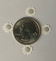 WHITE PETUNIA FLOWER Embellishment(12pc)Jolee’s •Garden•Plant •Spring•Wedding