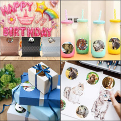 Jungle Animal Stickers 200 Pcs Roll Safari Zoo Labels for Kids Party Favors