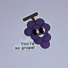 Cute Fruit Grapes Vinyl Art Sticker School Motivation Kids Matte Decals Tc9