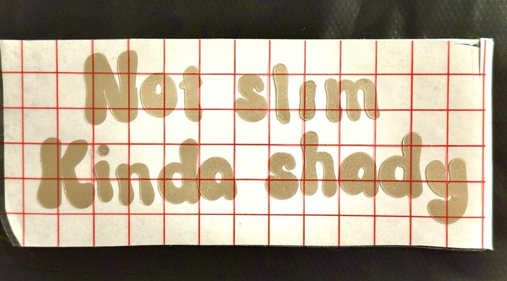 Funny Sticker Not Slim Kinda Shady Free Shipping Free Shipping