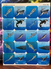 Vintage 1995 Teacher Created Materials Sharks & Whales (Sea World) Sticker Sheet