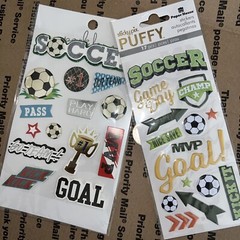 Paper House/Park Lane SOCCER Dimensional Scrapbooking/Card Making Stickers 2 Pk