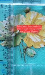 BB12E 12pc set Transparent Watercolor Flower Blooms Journal Crafting Stickers