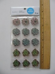 Recollections SUCCULENTS Dimensional Stickers 15 Pieces NIP
