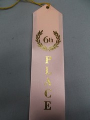 6th Place Award Ribbons – Pack of 10 – Flat Card & String – Classroom Event pink