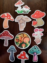 STICKERS x 10 Red Mushroom Garden Forest Mushrooms Third Eye Delic FEBG4
