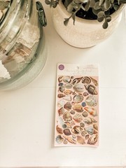 Vintage 1995 Punch Studio Seashells Stickers NOS 2 Sheets Naturally Gifted Shell