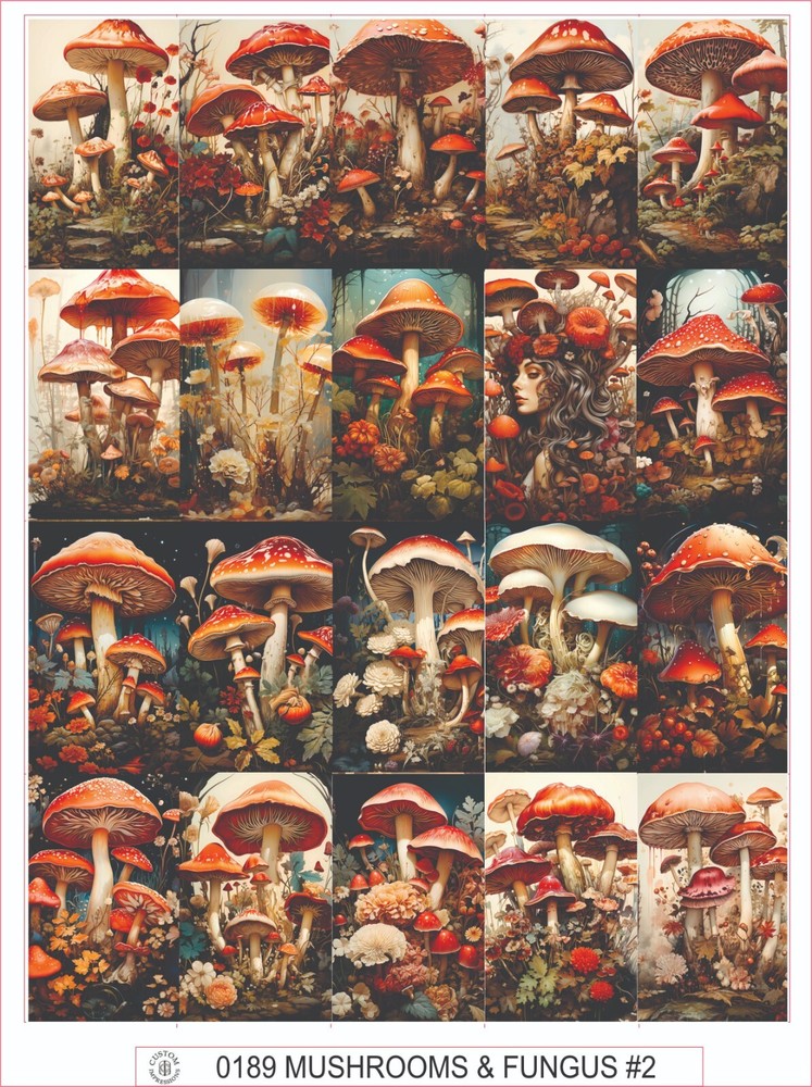 MUSHROOMS & FUNGUS #2 – COMPLETE SHEET OF 20 STICKERS