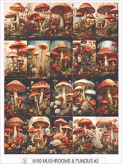 MUSHROOMS & FUNGUS #2 – COMPLETE SHEET OF 20 STICKERS