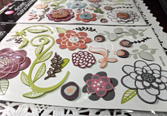 2 pkgs -Special Moments/Fall Flora Dimensional Stickers