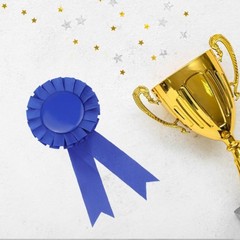 Blank Award Ribbon 12 Pieces Blue 1st 2nd 3rd Place Rosette for Competition
