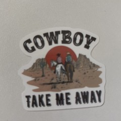 10 STICKERS WESTERN COWBOYS Journal Planner Notebook SCRAPBOOK WSIPDN