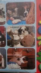 Vintage Gibson Puppy/kitty Stickers