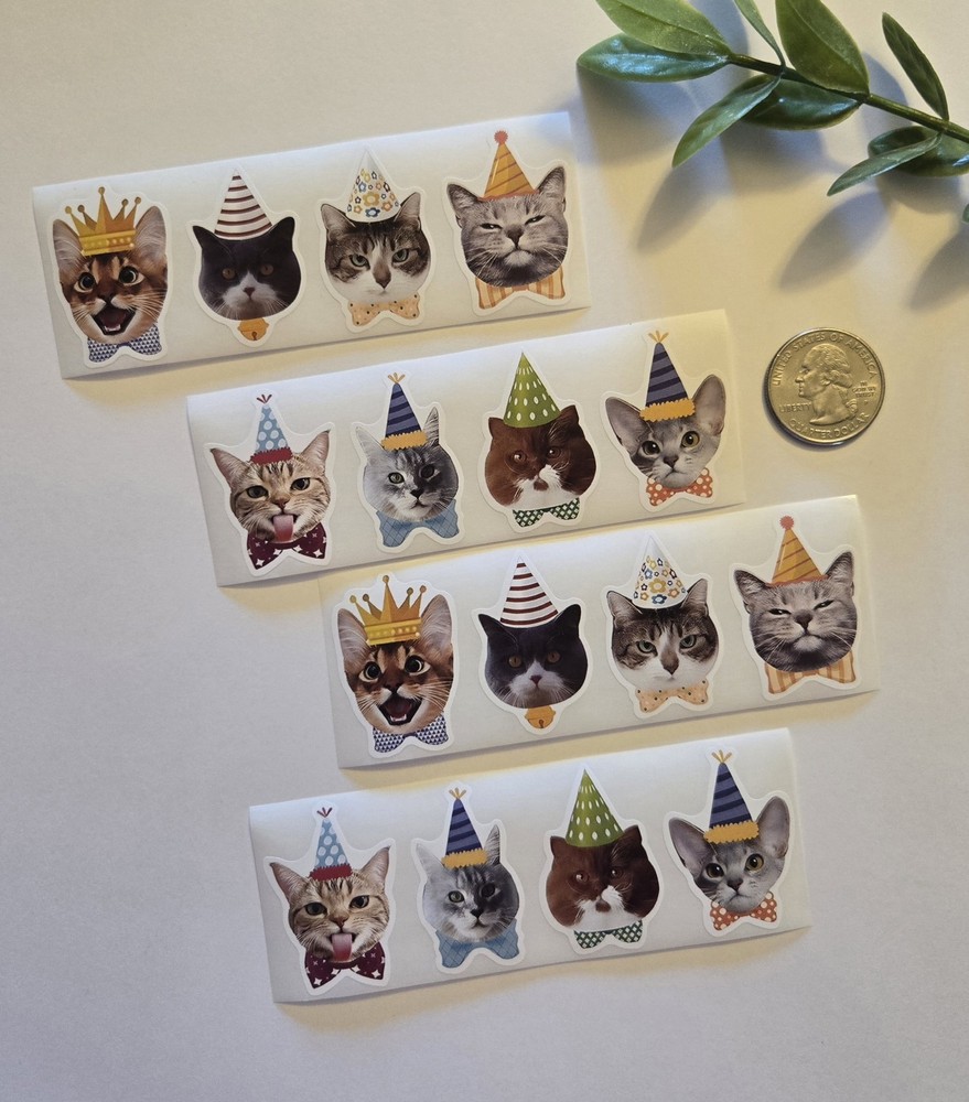 16 Crazy Cat Stickers Silly Feline Stickers Funny Face Cat Stickers Cat Lovers