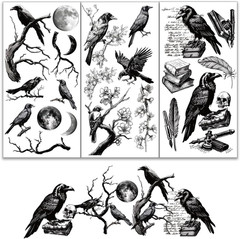 3pcs/Set Vintage Crow Rub on Transfers for Furniture and Crafts 6×12 inch Crow F