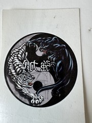 Vintage 90’s bands stickers and pins