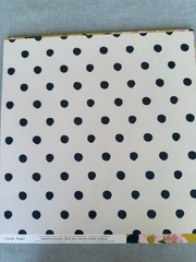 19 Sheets Floral/Polka Dot Maggie Holms Sunny Day 12×12 – Scrapbook, Craft