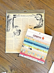 October Afternoon «Campfire» – RARE COLLECTORS Sticker & Embellishments