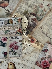 Vintage Bird Ephemera Bundle Junk Journal Kit Cottagecore Nature Scrapbook 69 Pc