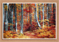 200 Sheets Chipboard 5 x 7 Inch, 40pt (Point) Medium Weight Chipboard .04 Calipe