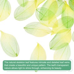 100-Pack Skeleton Leaves, Natural Rubber Leaves Vein[4-6cm, Dark Light Green]