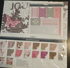 sei ‘Jolie Chocolat Assortment Pack Scrapbk Papers 24 Sheets Stickers 12×12 NEW
