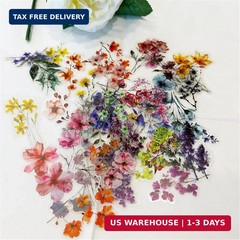 50 Pieces Natural Flower Themed Transparent Stickers for Scrapbooking, Self-Adhe