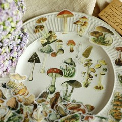 100 pcs Small Mushroom Translucent Vellum Matte Surface Paper Sticker Scrapbook