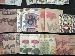 100 Pc Scrapbooking Supplies JJ Craft Kit Florabunda Theme Ephemera New Product