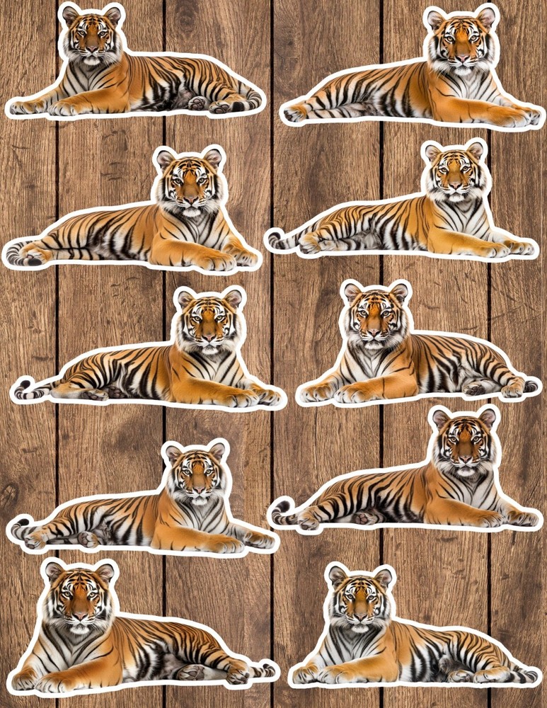 Lying Tiger Die Cut Vinyl Stickers Set Scrapbooking Laptop Waterbottle