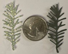 FOREST TREE Die-Cuts(10pc) Pinecone•Yard•Evergreen•Outside•Card Making•Scrapbook
