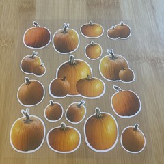 Pumpkin Stickers Realistic Halloween Thanksgiving Fall Autumn Clear Sheet Vtg