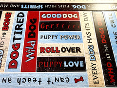 Bo Bunny Wild Dog Cardstock Sticker Sheet 2013 NOS Scrapbooking Craft 6×12