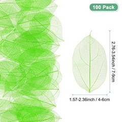 100-Pack Skeleton Leaves, Natural Rubber Tree Leaves Vein[7-9cm, Green]