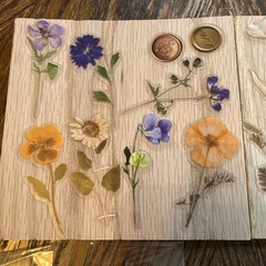 Dried Flowers Sticker Pack, Multicolor Flowers & Plants/Variety of Colors