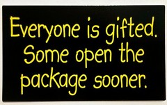 Everyone Is Gifted Some Open The Package Sooner Wacky Rectangles Vending Sticker
